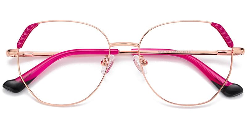 Frame front view