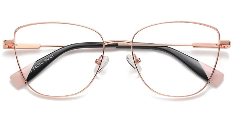 Frame front view