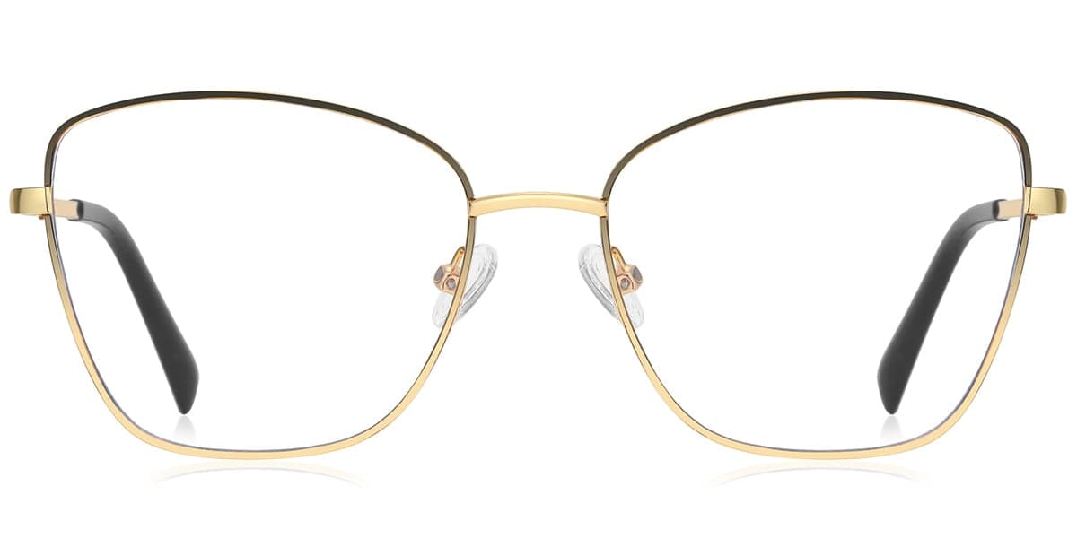 Frame front view