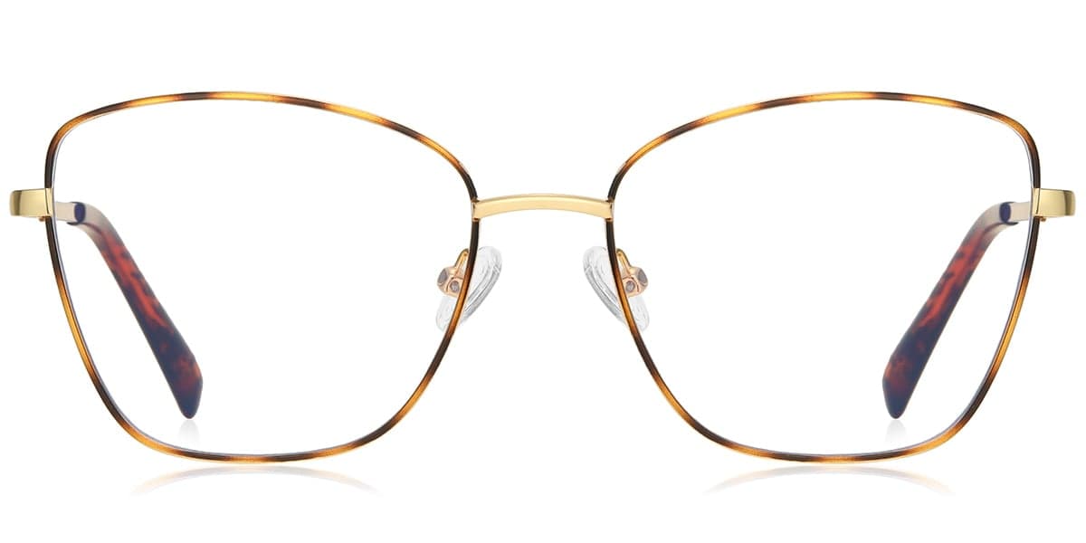 Frame front view