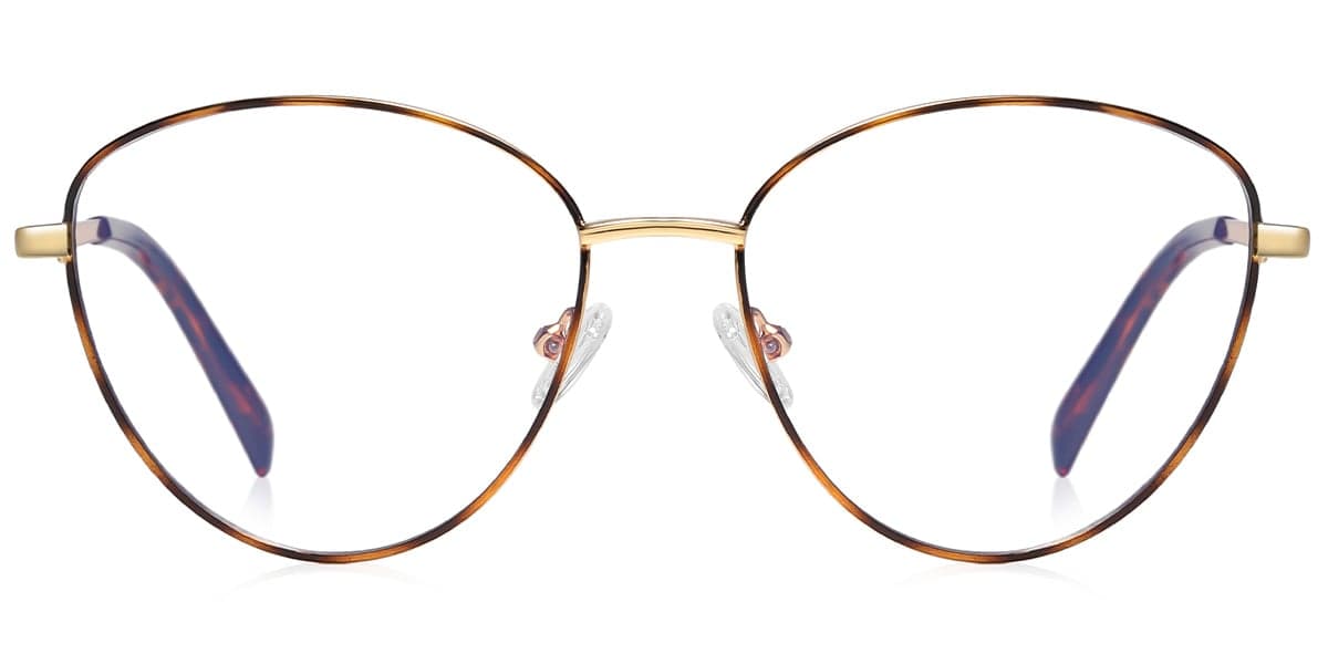Frame front view