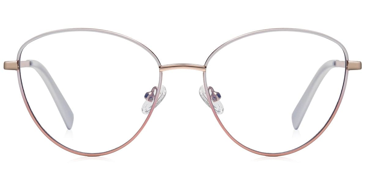 Frame front view