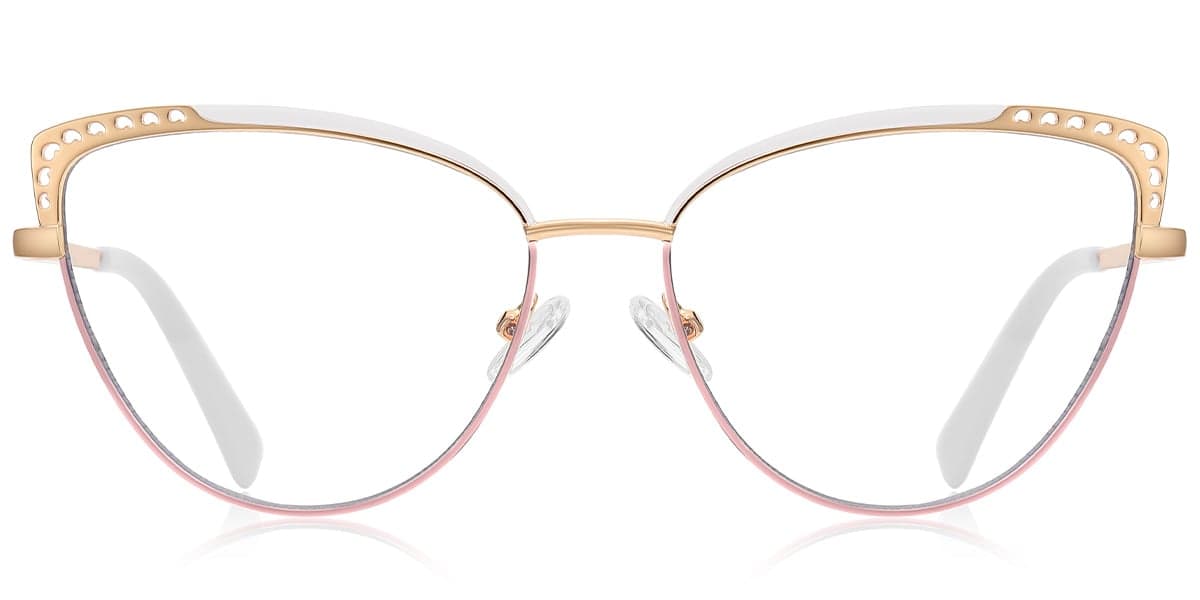 Frame front view