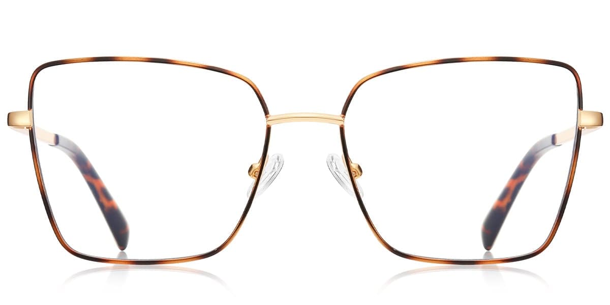 Frame front view