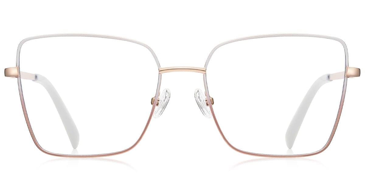 Frame front view