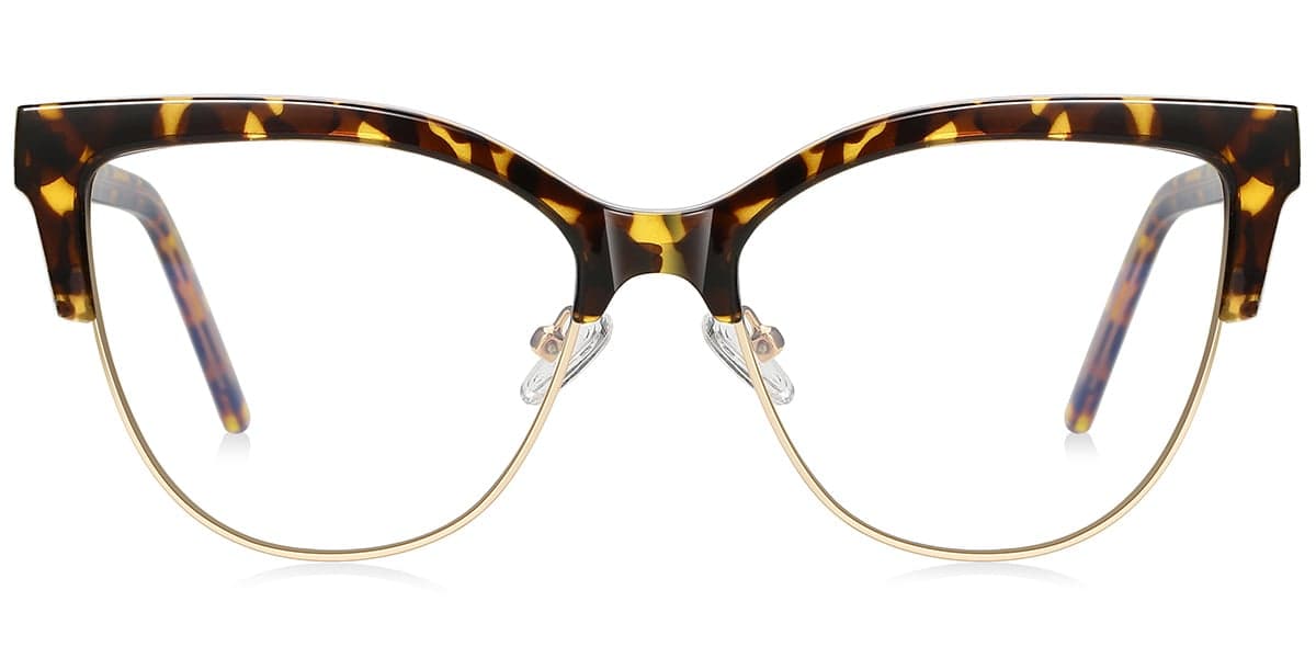 Frame front view