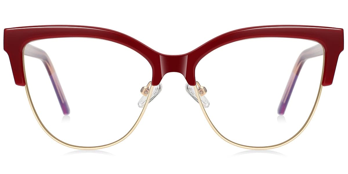 Frame front view