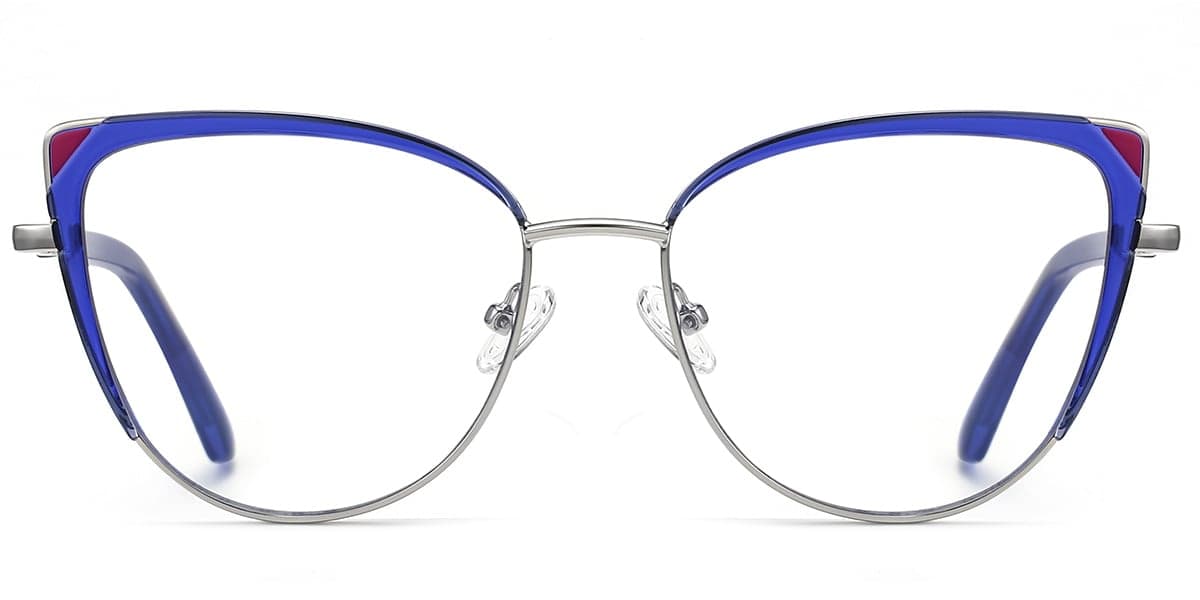 Frame front view