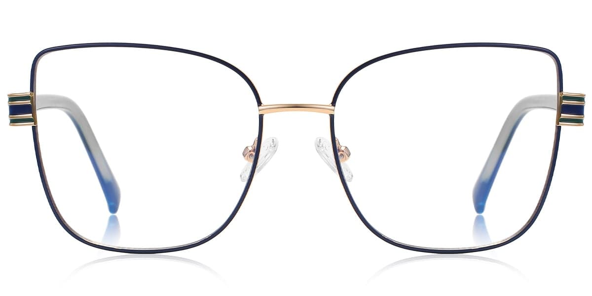 Frame front view
