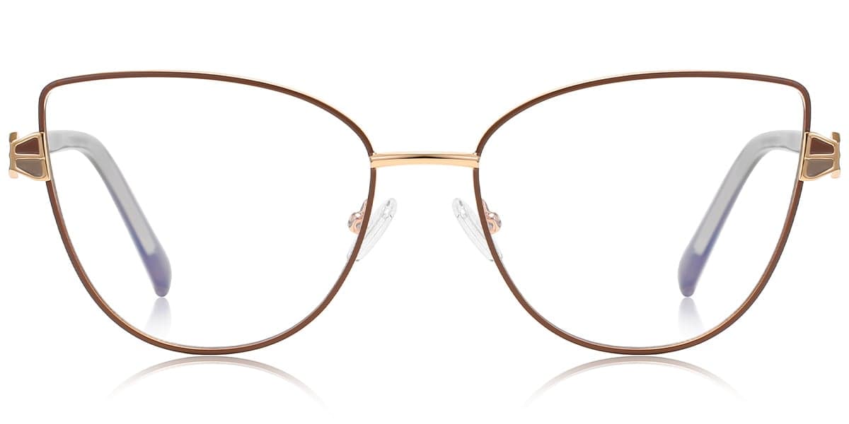 Frame front view