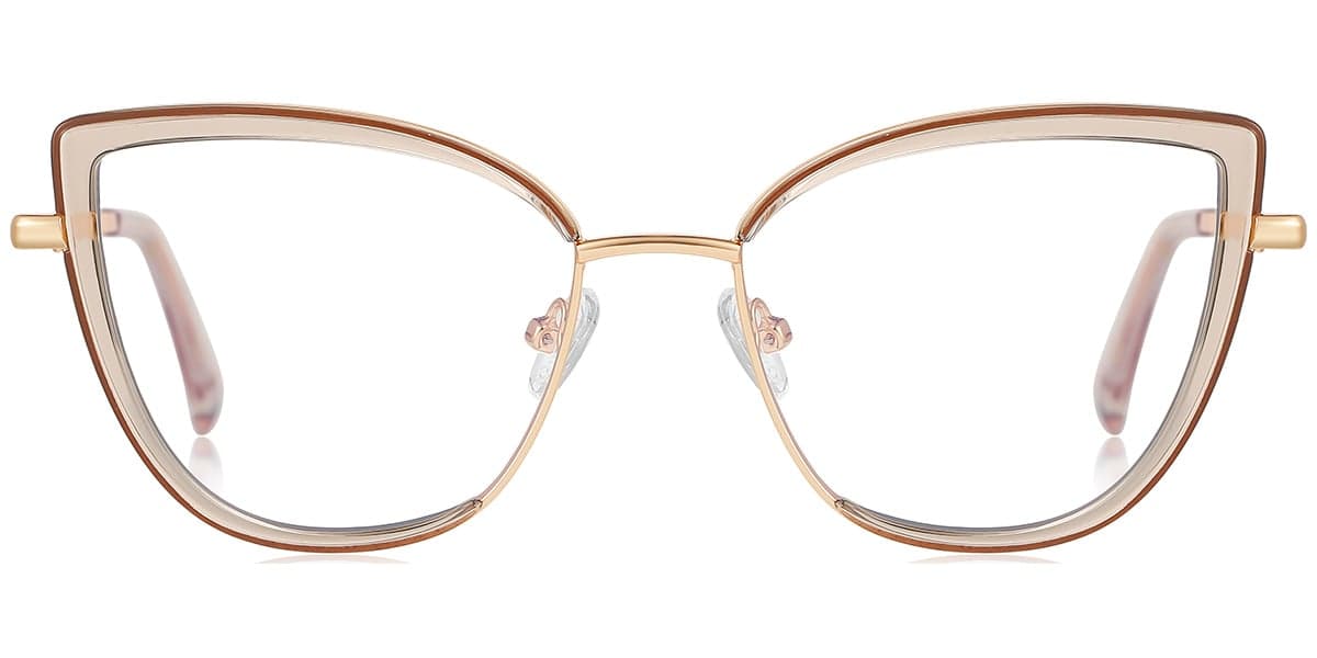 Frame front view