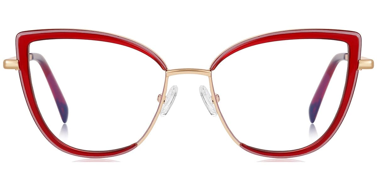 Frame front view