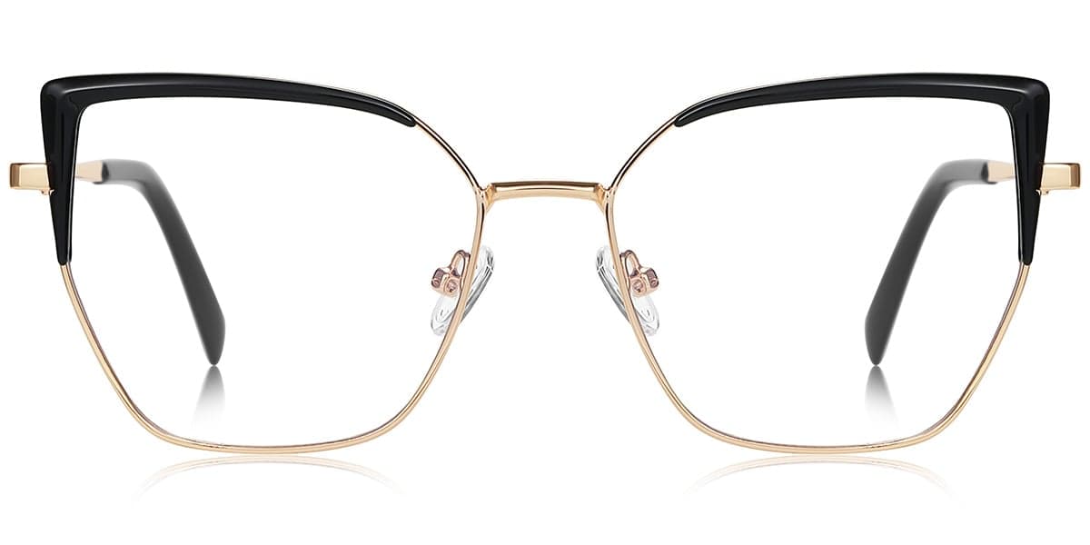 Frame front view