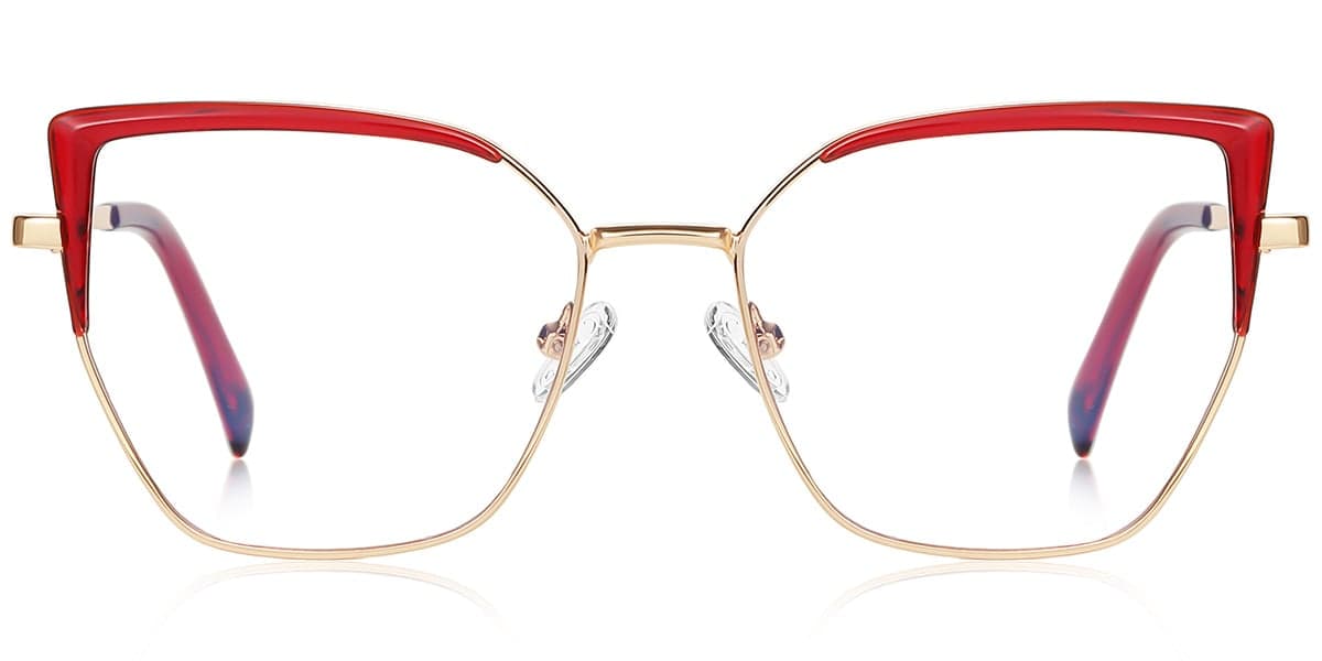 Frame front view
