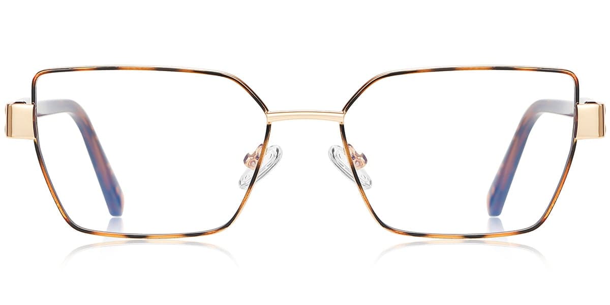 Frame front view