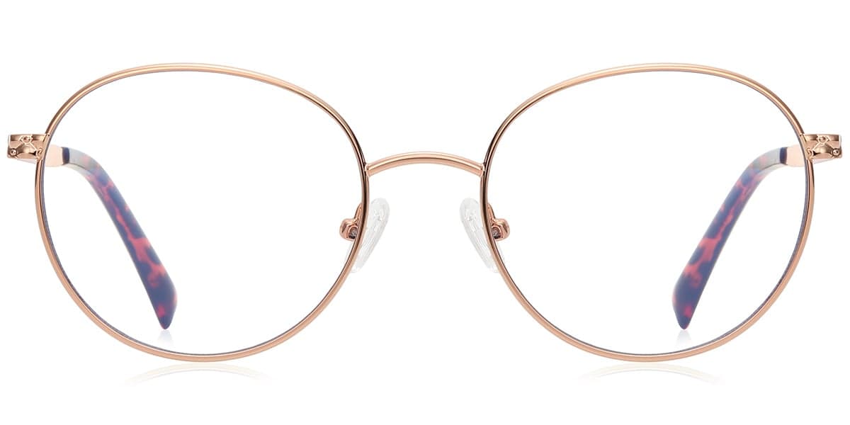 Frame front view