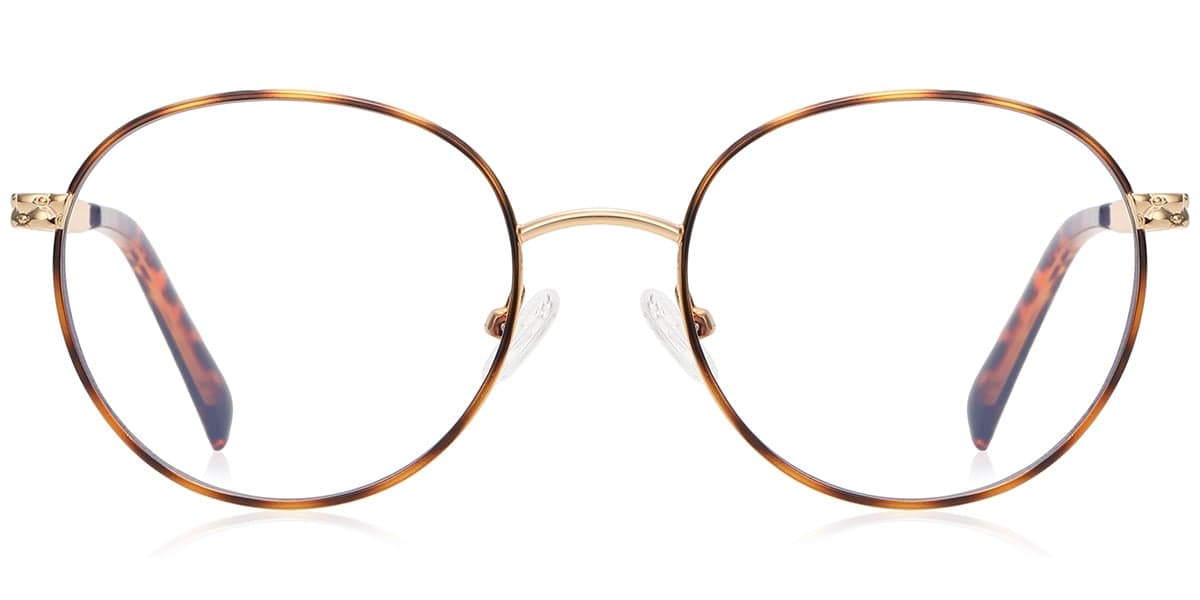Frame front view