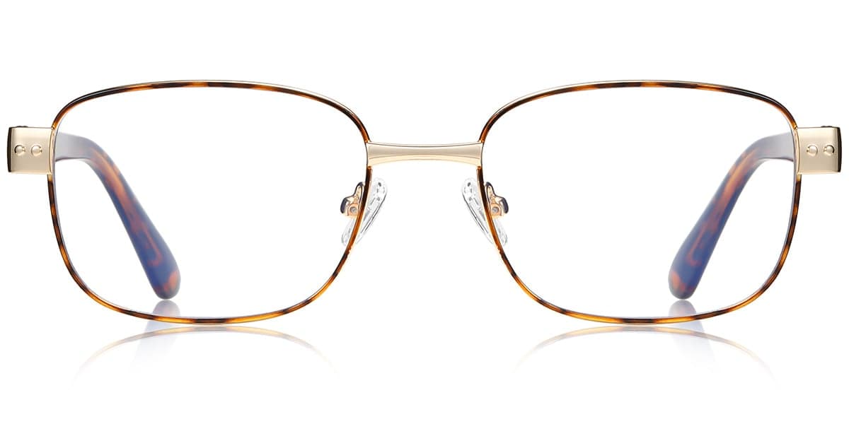 Frame front view