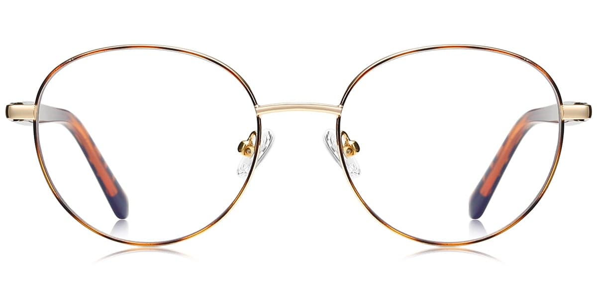Frame front view