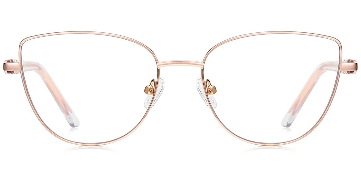 Frame front view
