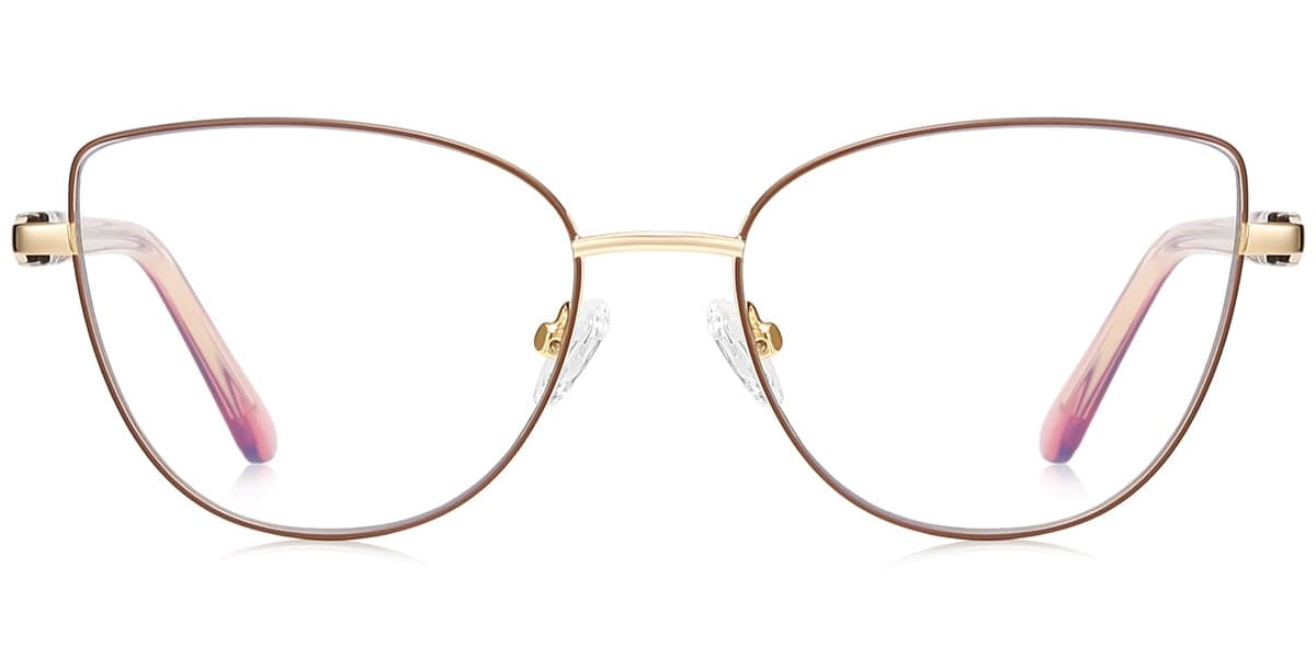 Frame front view