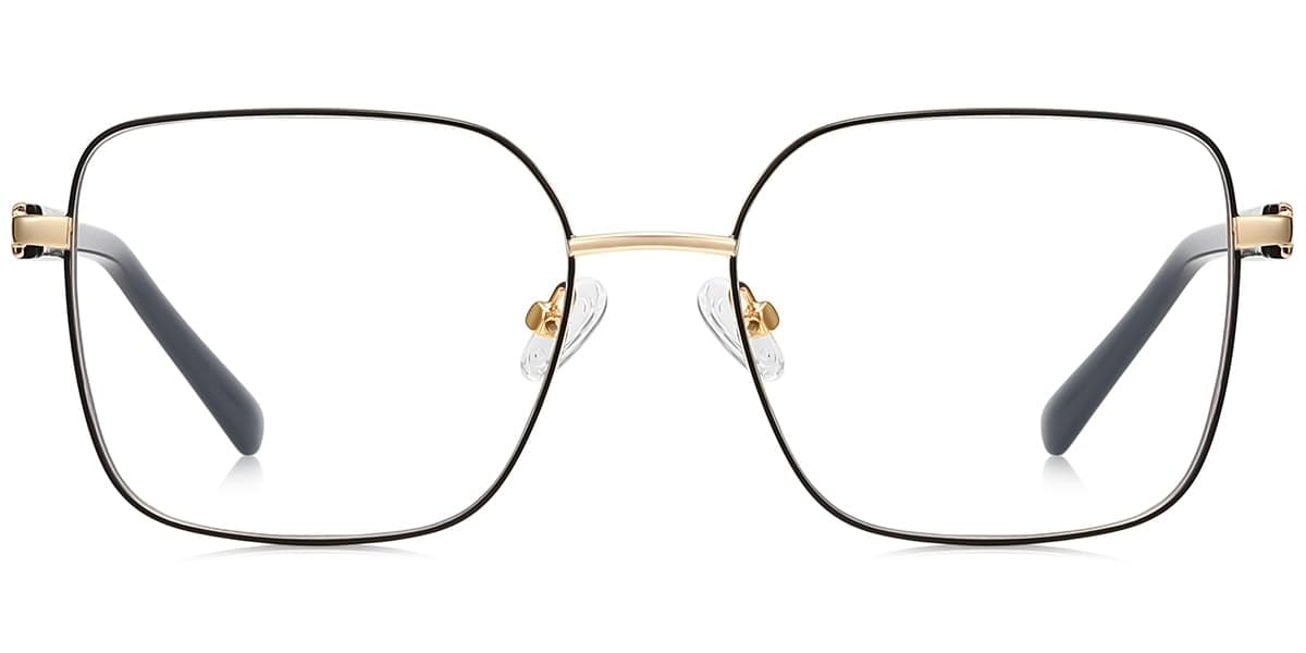 Frame front view