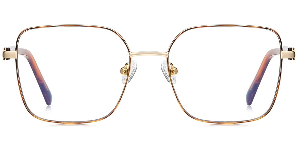 Frame front view