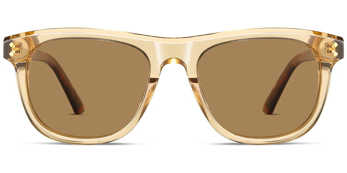Frame front view