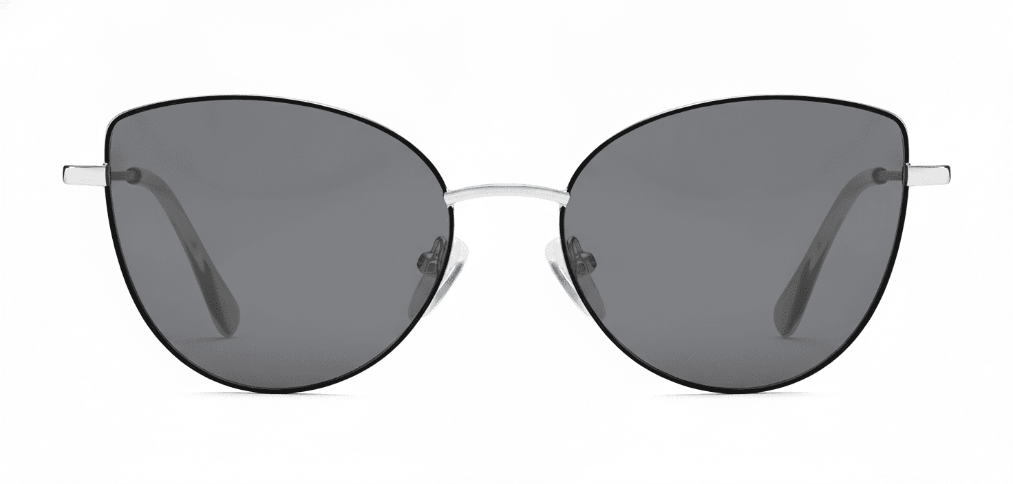 Frame front view