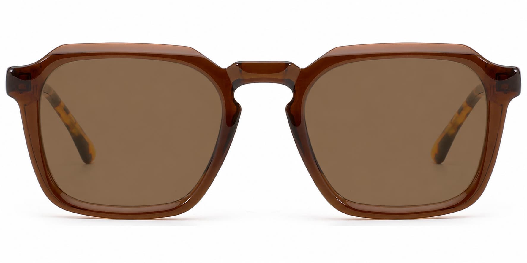 Frame front view