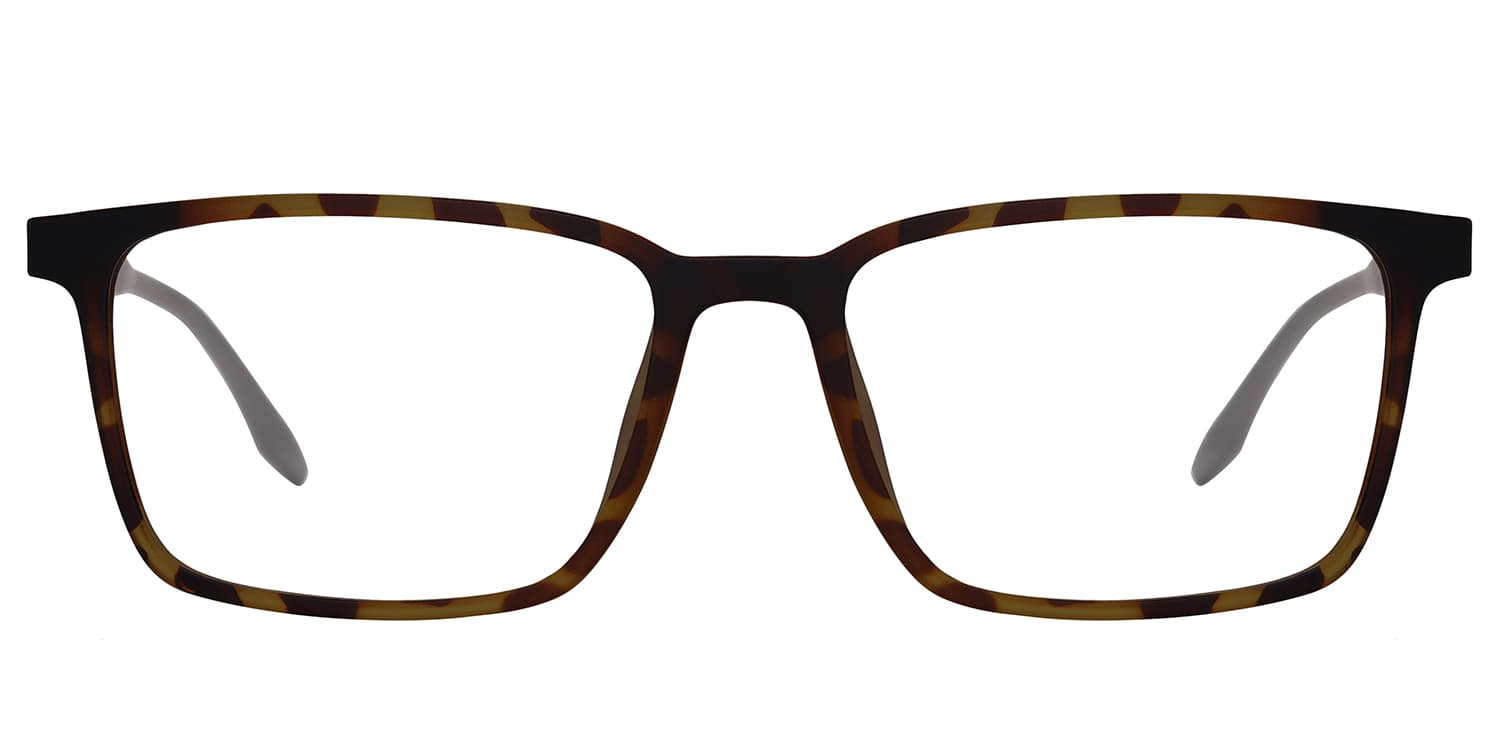 Frame front view