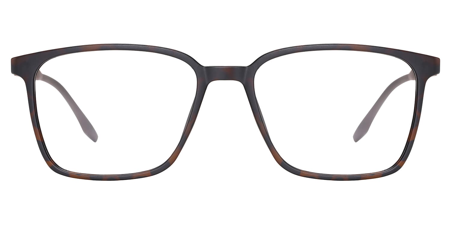 Frame front view