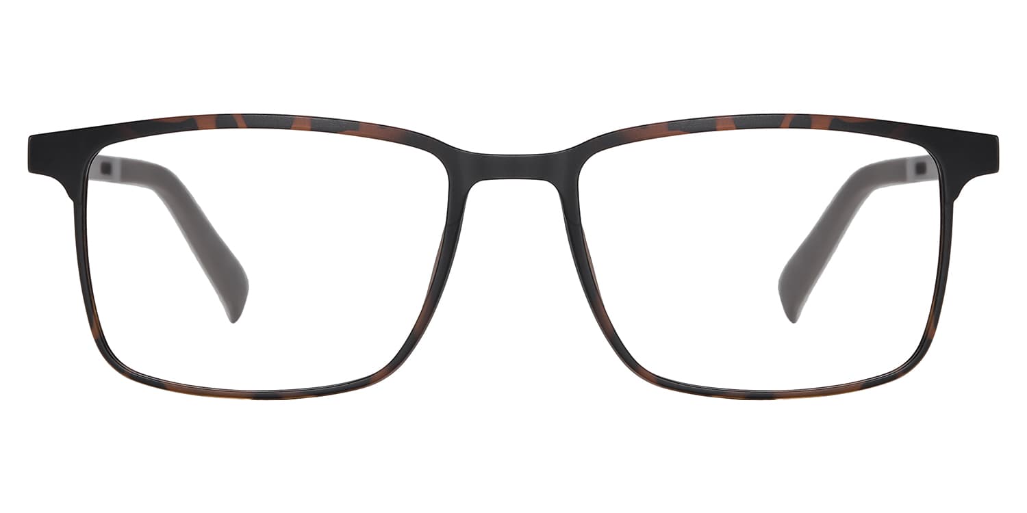 Frame front view