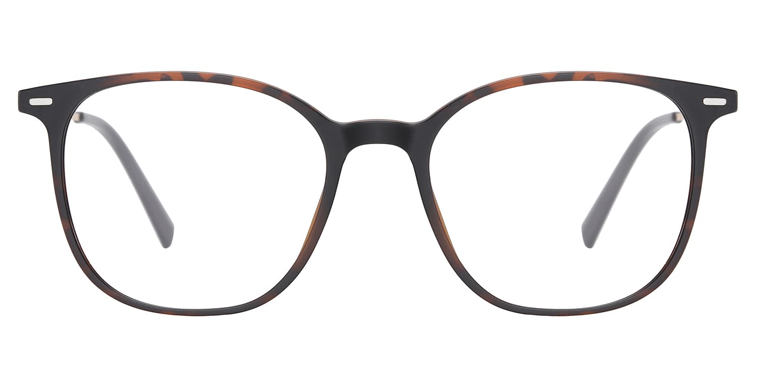 Frame front view