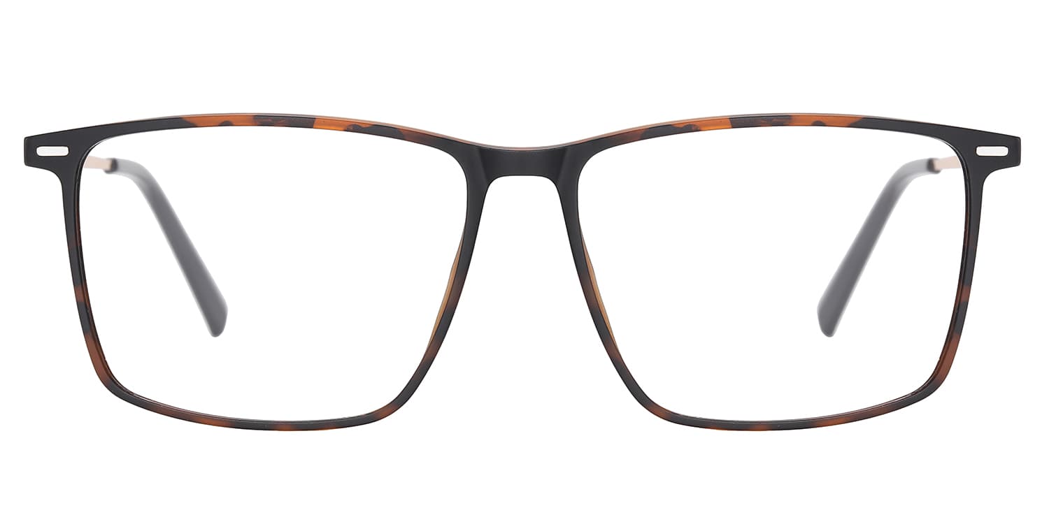 Frame front view